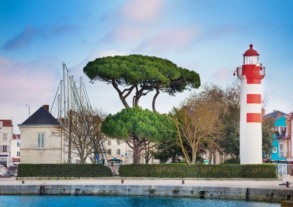 Phare rouge et blanc et pins parasols au bord du port de La Rochelle