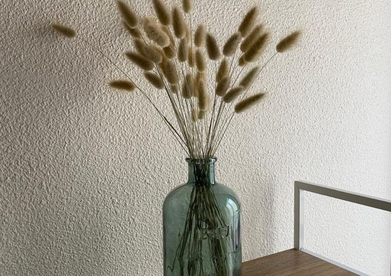 Vase et fleurs séchées, détail de décoration du studio